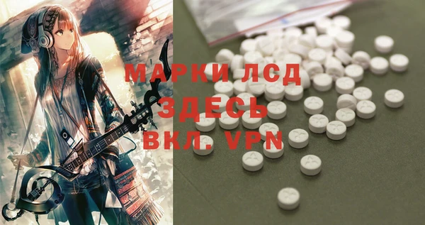 стафф Дмитров