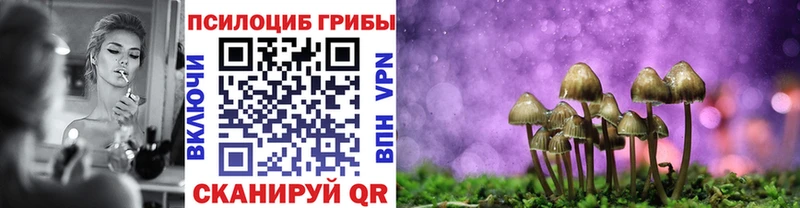 Купить закладки  Нелидово  Псилоцибиновые грибы Magic Shrooms 