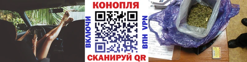 Бошки марихуана MAZAR Нелидово